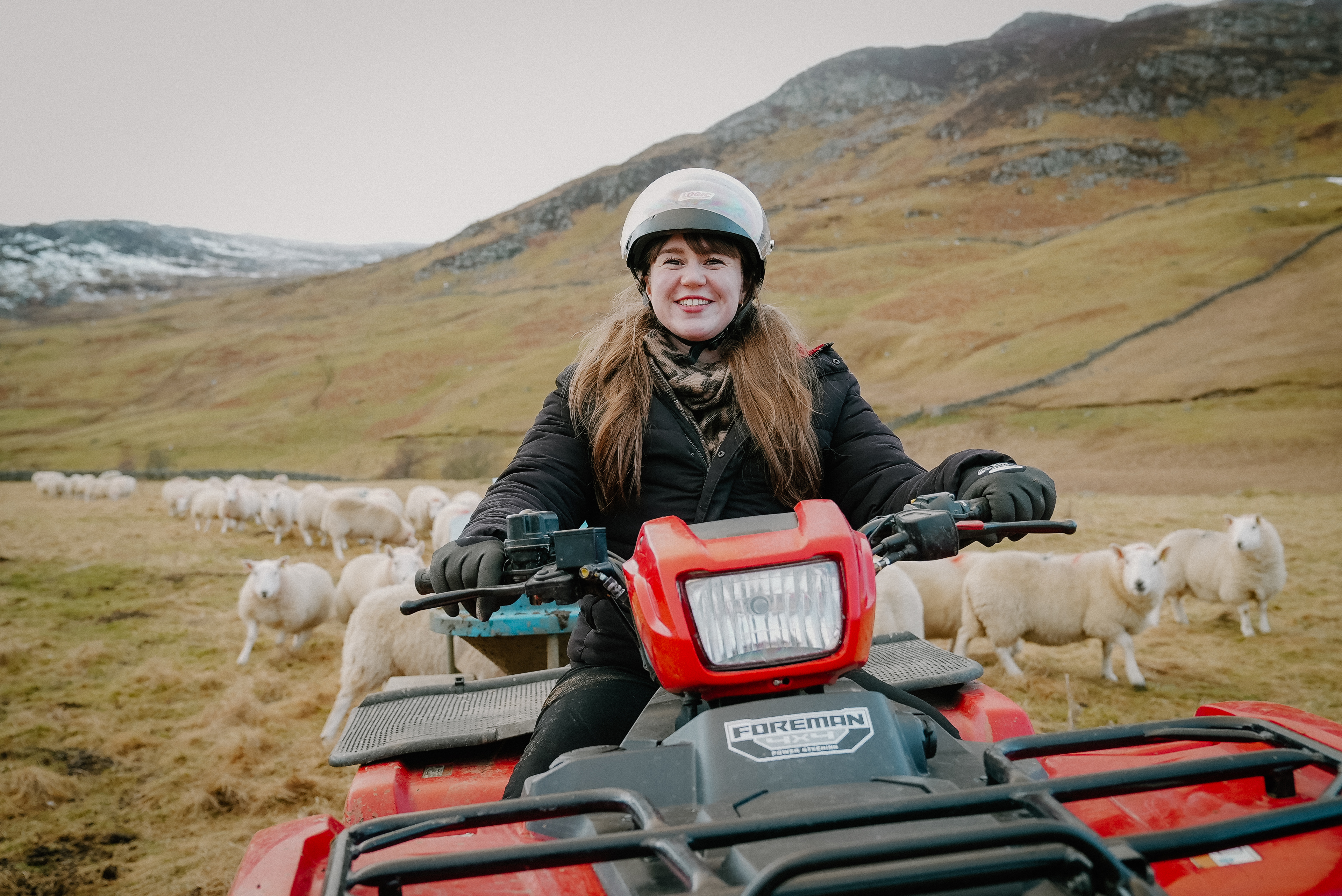 Helen is wearing a helmet and driving a farming vehicle with a hilly rural setting in the background and a line of sheep following behind Helen.
